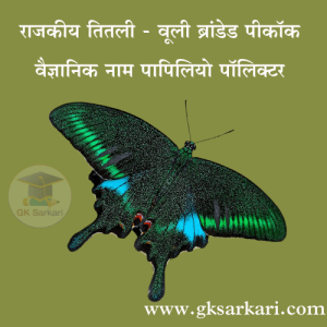 State Butterfly of Uttarakhand Woolly Branded Peacock
