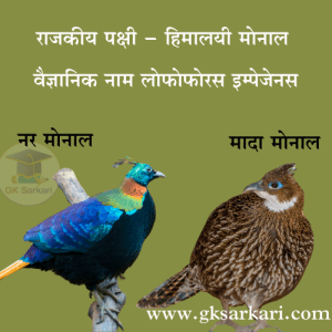 State Bird Of Uttarakhand Himalayan Monal