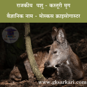 State Animal of Uttarakhand