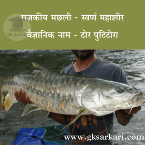 State Fish of Uttarakhand is Golden Mahseer